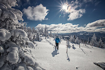 Schneeschuhwanderung
